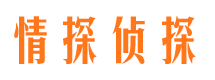 大丰私家侦探公司